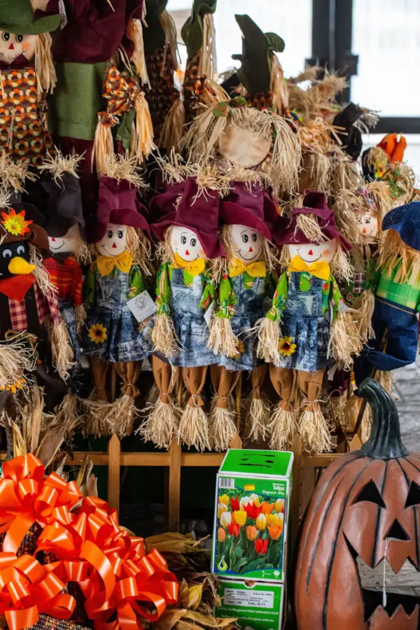 A festive autumn display featuring scarecrow dolls in denim overalls, vibrant red hats, and straw accents, alongside a carved pumpkin and orange ribbon.