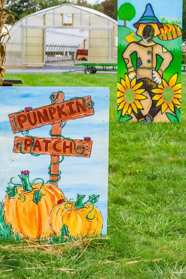 A colorful sign with pumpkins and a "Pumpkin Patch" arrow stands on green grass. Behind, a scarecrow cutout and greenhouse add to the festive, autumn scene.