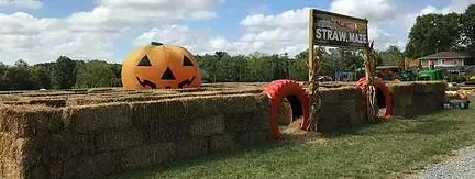 Straw maze with large pumpkin decoration.
