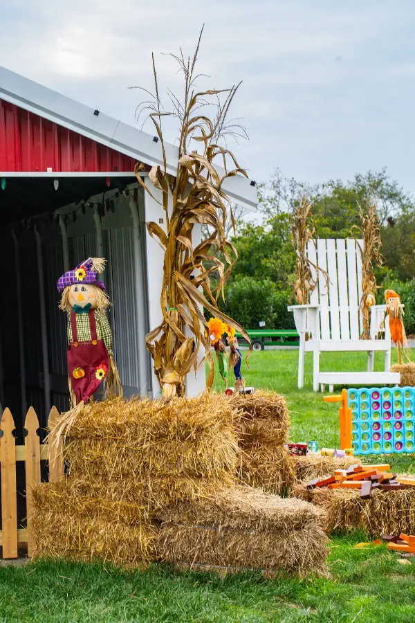 Hay bales with corn stalks and colorful scarecrows set a festive fall scene. A large white chair and wooden games add a playful, welcoming vibe.
