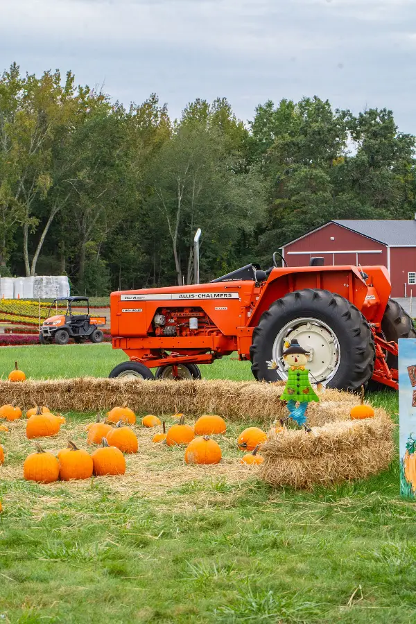 A vibrant orange tractor is parked on a lush green field next to a pumpkin patch surrounded by hay bales. A cheerful scarecrow stands nearby.