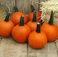 Small pumpkins with hay decoration on wooden surface.