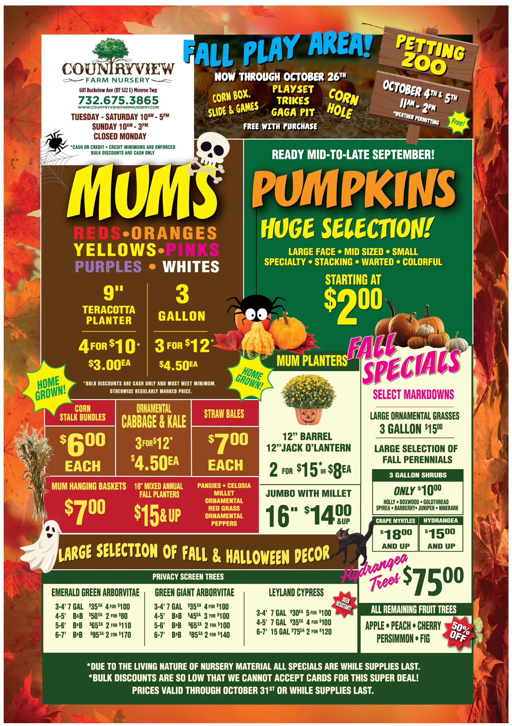 Colorful flyer advertising Countryview Farm Nursery's fall offerings, including mums, pumpkins, fall specials, petting zoo, play area, and seasonal decorations with prices and contact info.
