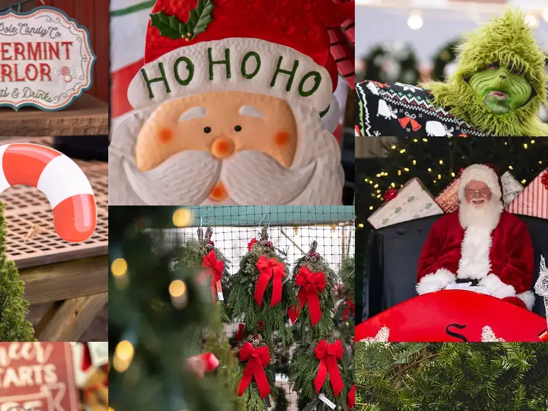 Festive Christmas decorations and holiday scenes