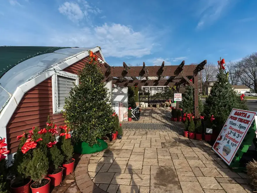 Countryview Farms At Christmas Time Arial View Christmas tree market with festive decorations.