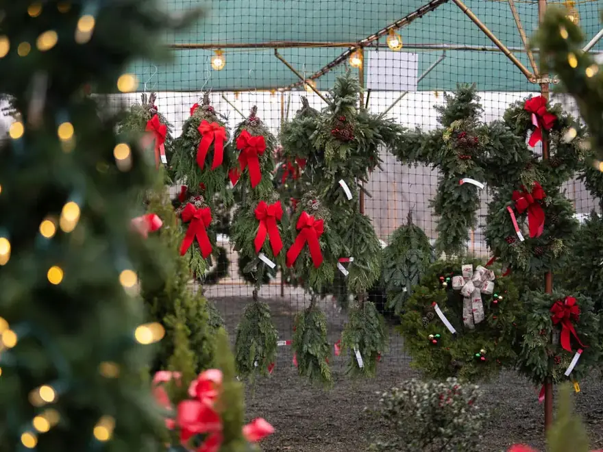 Countryview Farms Inside Christmas Tent Store Christmas wreaths with red bows on display