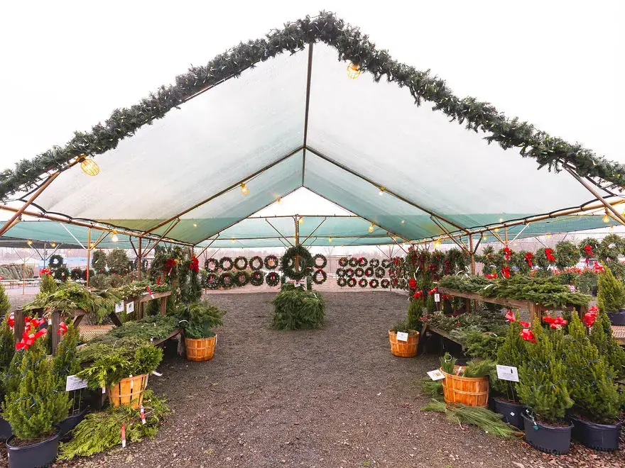 Countryview Farms Indoor Tent Christmas wreaths and greenery at outdoor market stand.