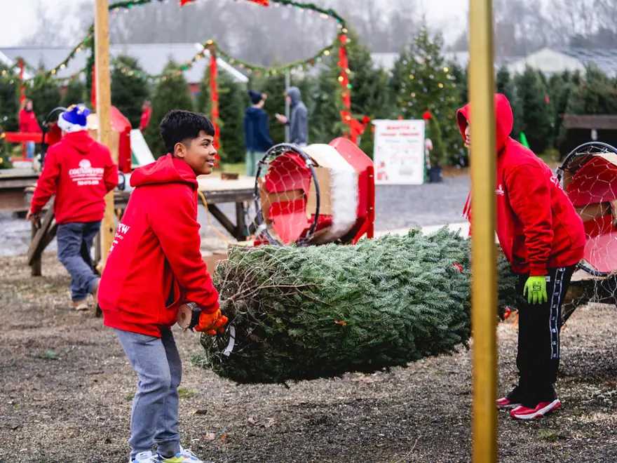 Countryview Farms Workers Prepping Tree People carrying a Christmas tree at a farm.
