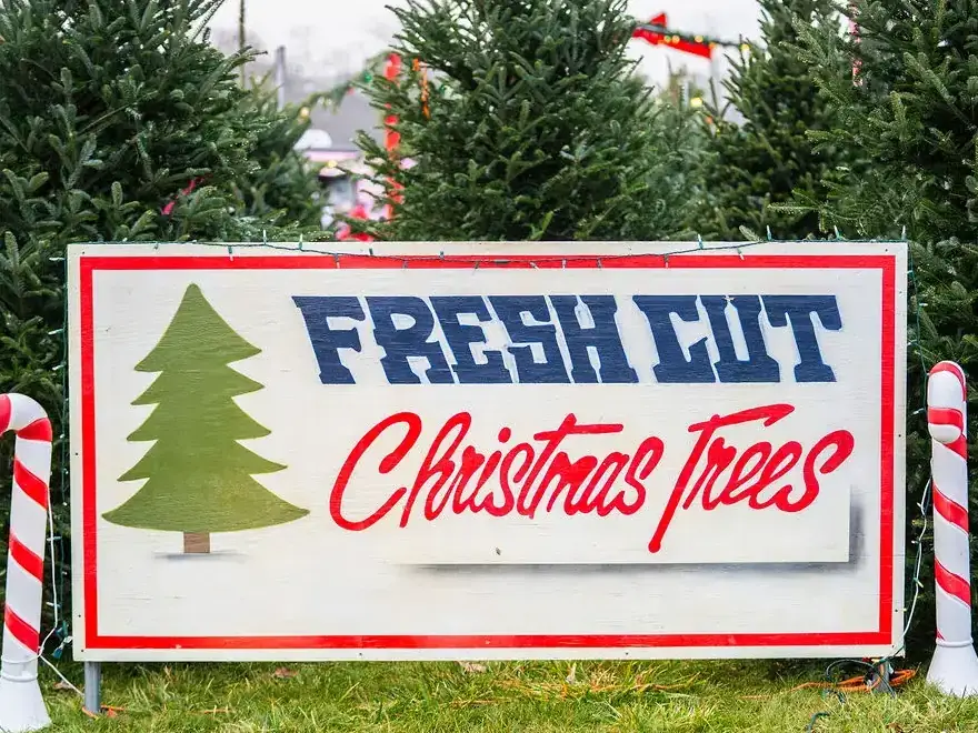 Fresh Cut Christmas Trees Wooden Sign Sign advertising fresh cut Christmas trees for sale.