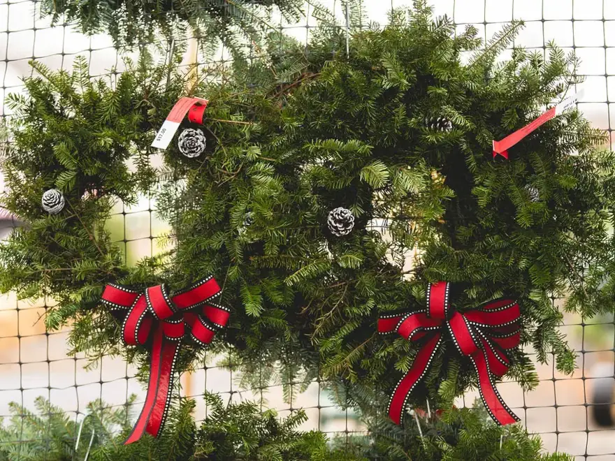 Countryview Farms Wreaths Hanging Christmas wreath with red bow and pinecones
