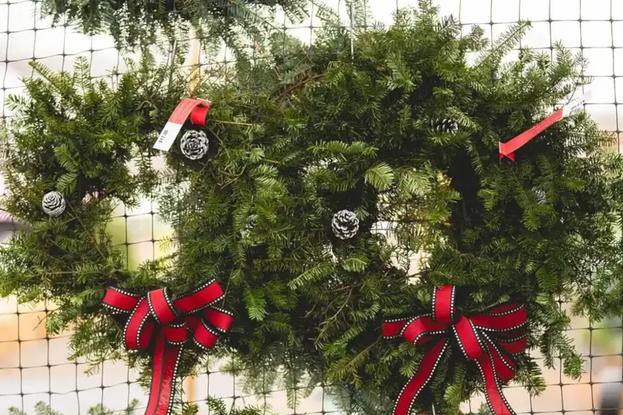 Christmas wreaths with red ribbons and pinecones