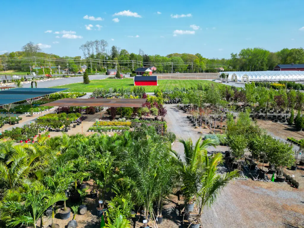 Aerial view of large outdoor plant nursery.