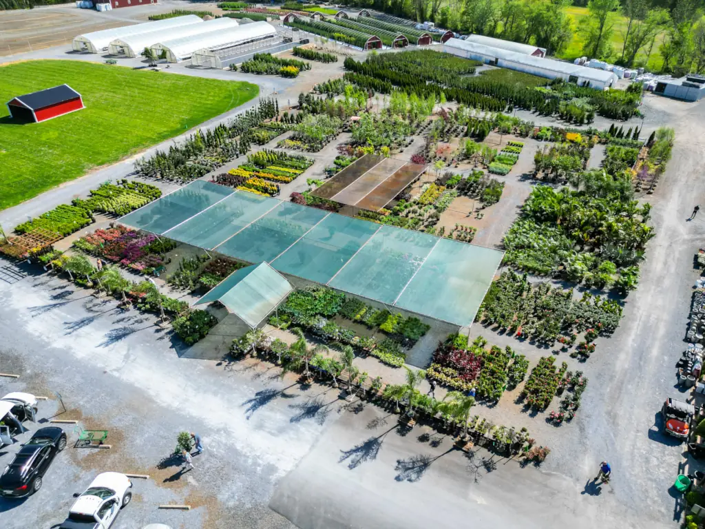 Aerial view of expansive plant nursery with greenhouses.
