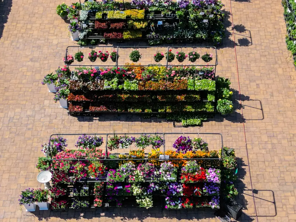 Colorful garden center with flowers in rows.