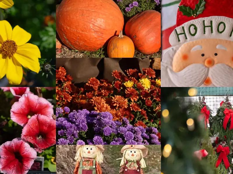 Photo Collage Countryview Farms Nursery Seasons