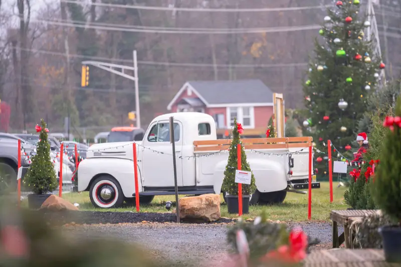 Christmas Season Countryview Farm Nursery Classic White Truck
