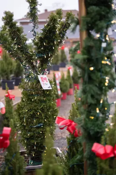 Decorative tree with Christmas lights and red bows