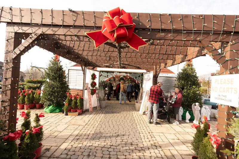 Christmas market entrance with festive decorations.