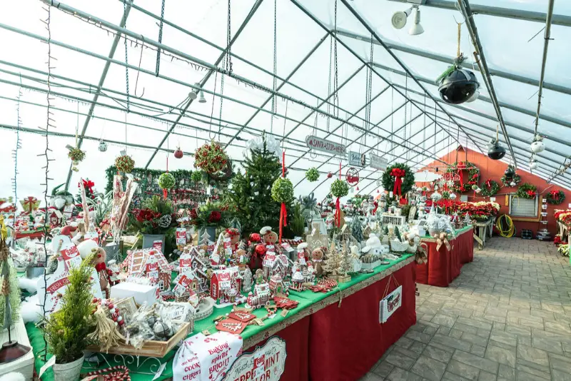 Festive holiday decorations in greenhouse setting.