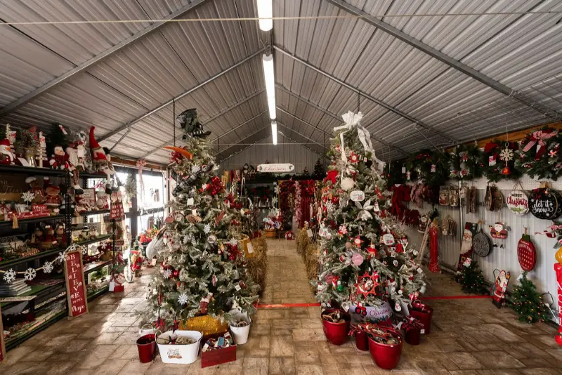 Christmas shop with decorated trees and festive items.