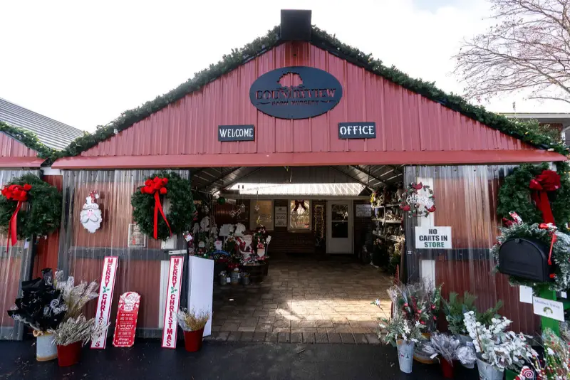 Decorated entrance of a festive holiday store.