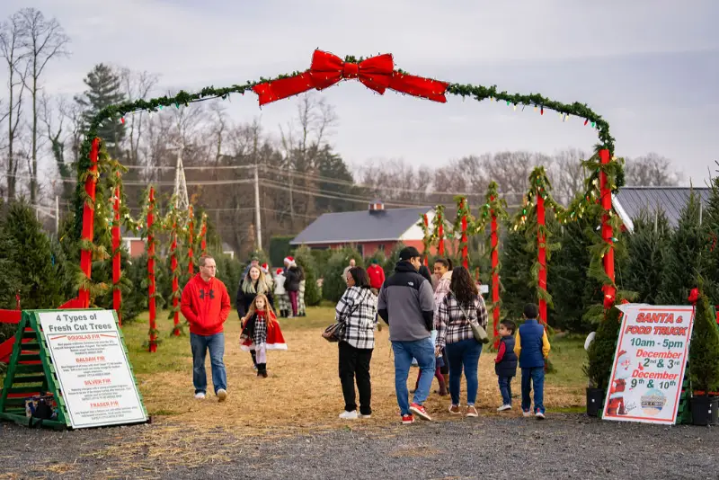 Christmas tree farm entrance with red decorations.