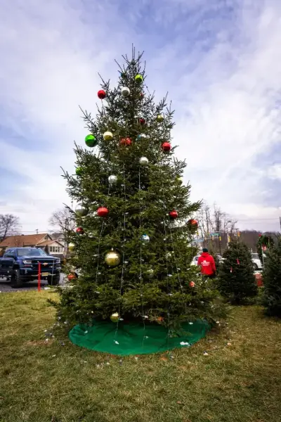 Outdoor Large Christmas Tree Decorated