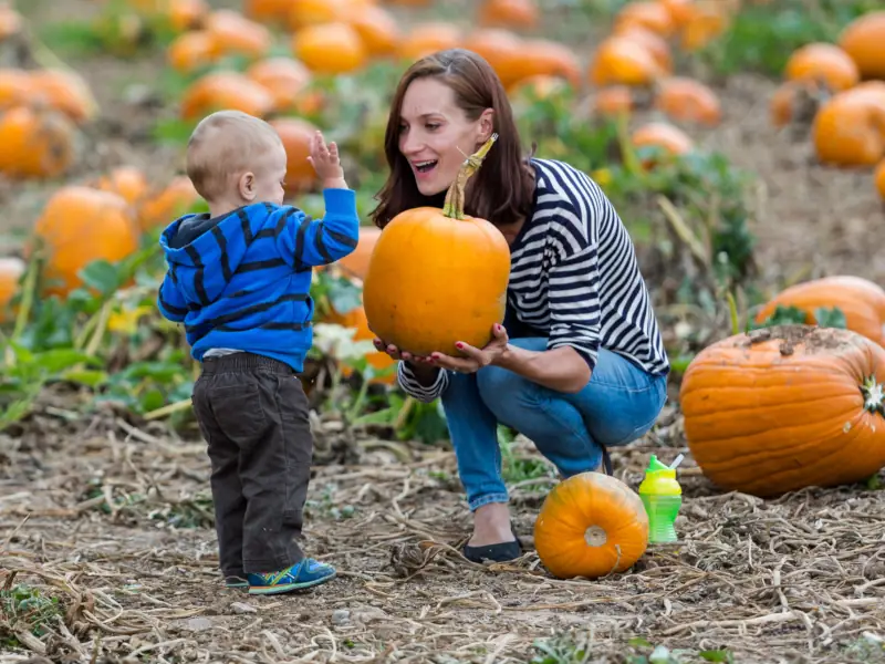 Happy Mother Child Pumpkin Patch Field