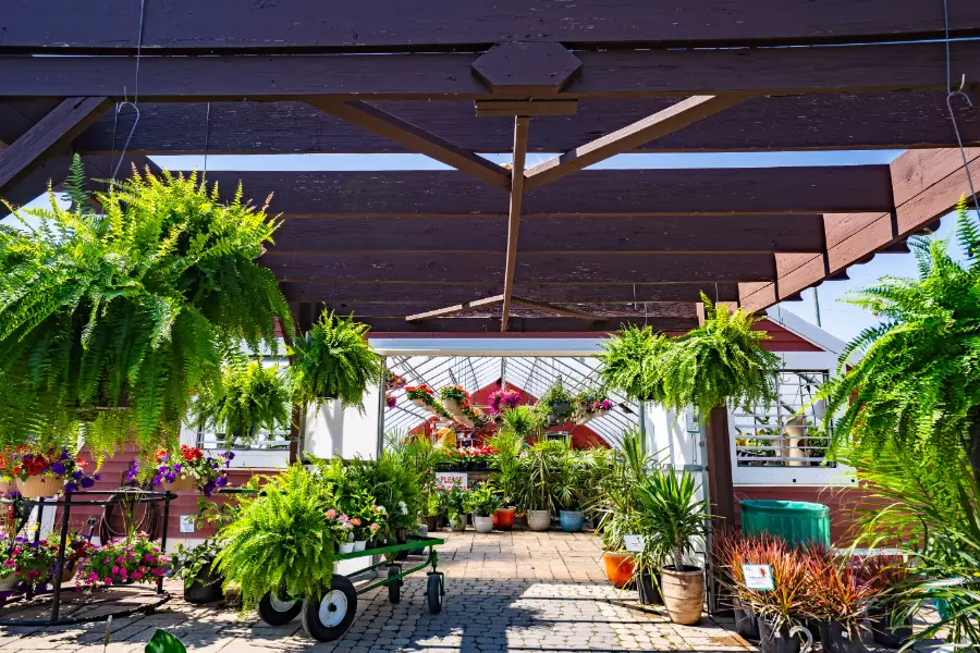 Palm Tree Indoor Planter Fern Flowers