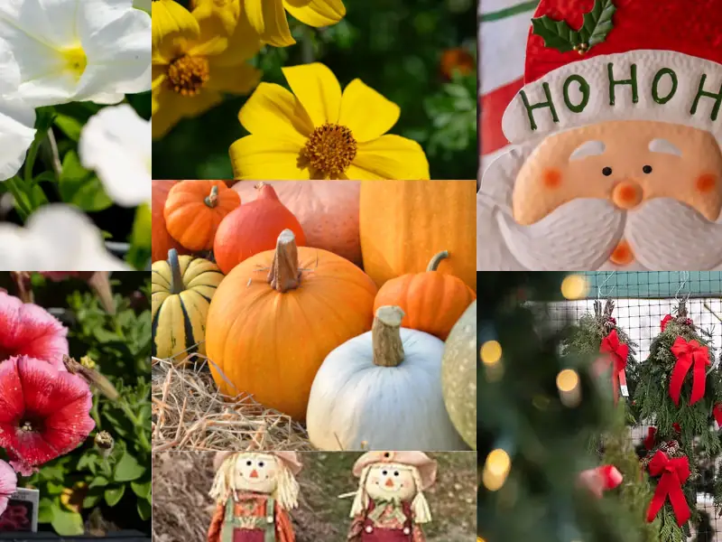 Countryview Farms Nursery Seasons Photo Collage