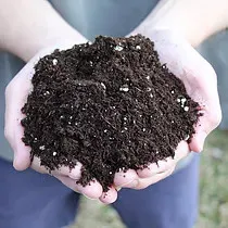 Person Holding Potting Mix Soil Hands holding rich, dark soil outdoors.