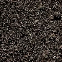 Top Soil Close-up of dark, textured soil surface.