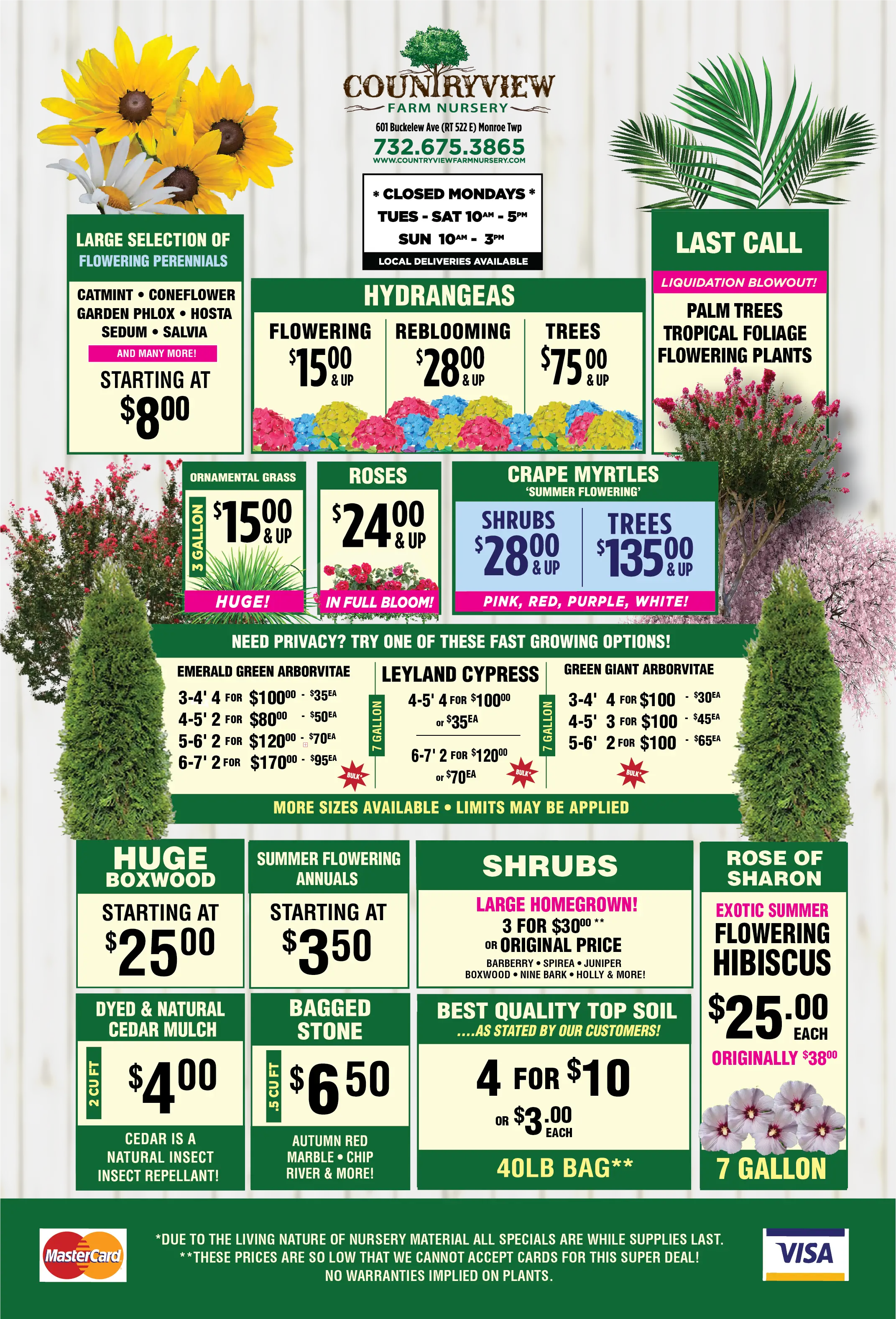 Colorful garden nursery flyer displaying prices and images of plants, shrubs, hydrangeas, trees, flowering perennials, and related sales information for Countryview Farm Nursery.