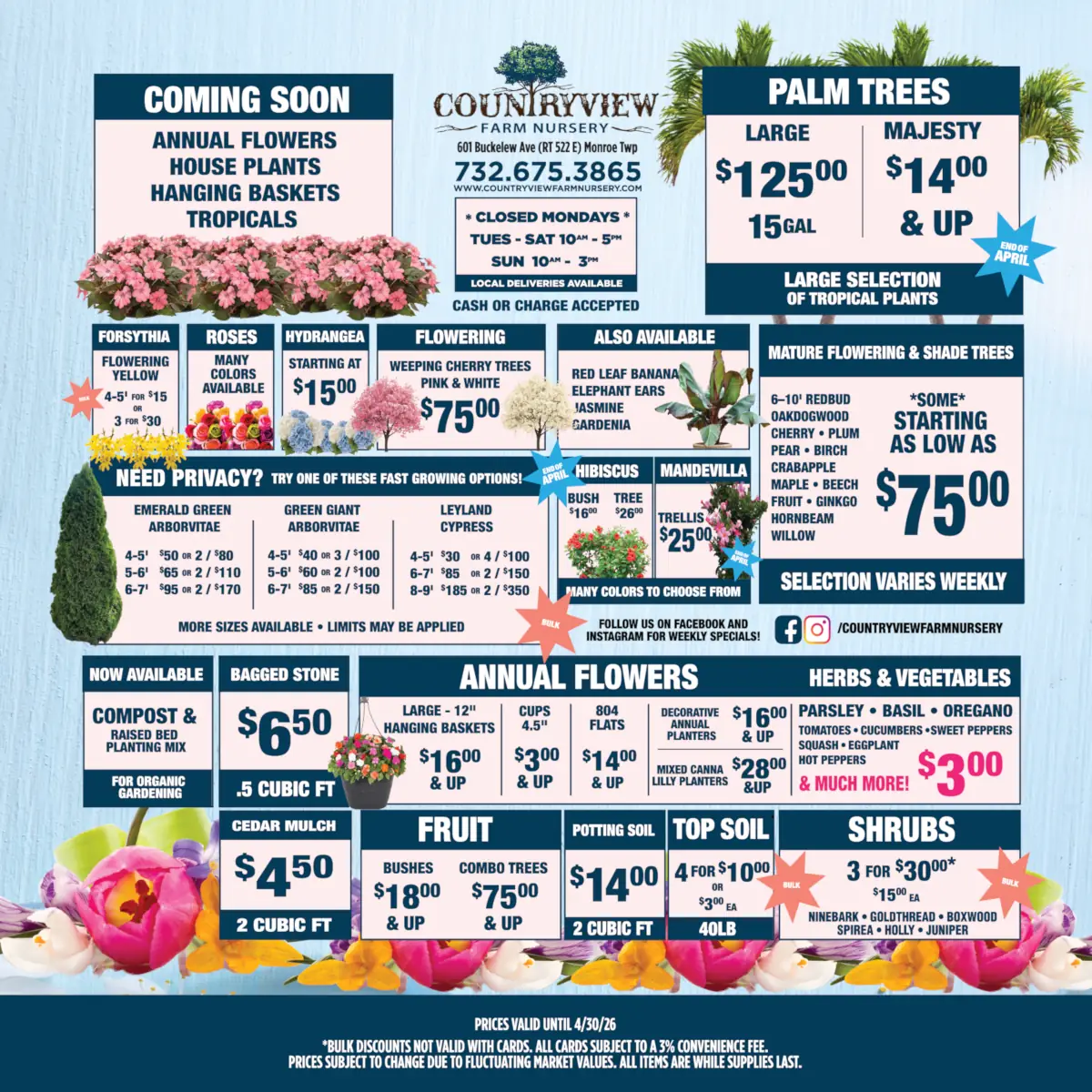 Advertisement for Countryview Farm Nursery showcases various plants and trees. Categories include palm trees, flowering trees, annual flowers, and shrubs, with prices and sizes. Background features colorful flowers, creating a vibrant and inviting tone.